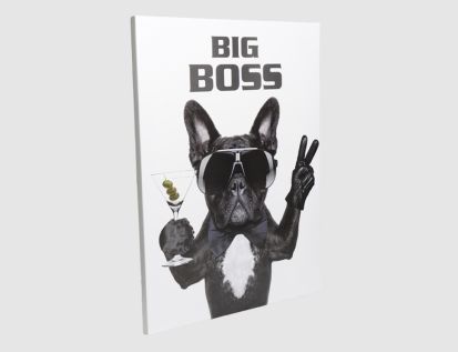 Bild Big Boss